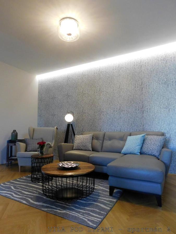 Apartamento Vila Pod Lipami Bruntál Exterior foto